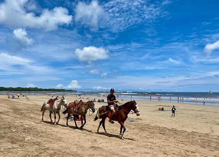 Palmas De Tamarindo Serenity Gem Apartamento